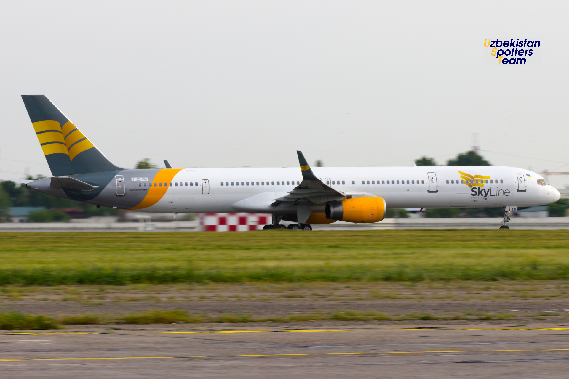 Toshkent aeroportida bahorgi spotting