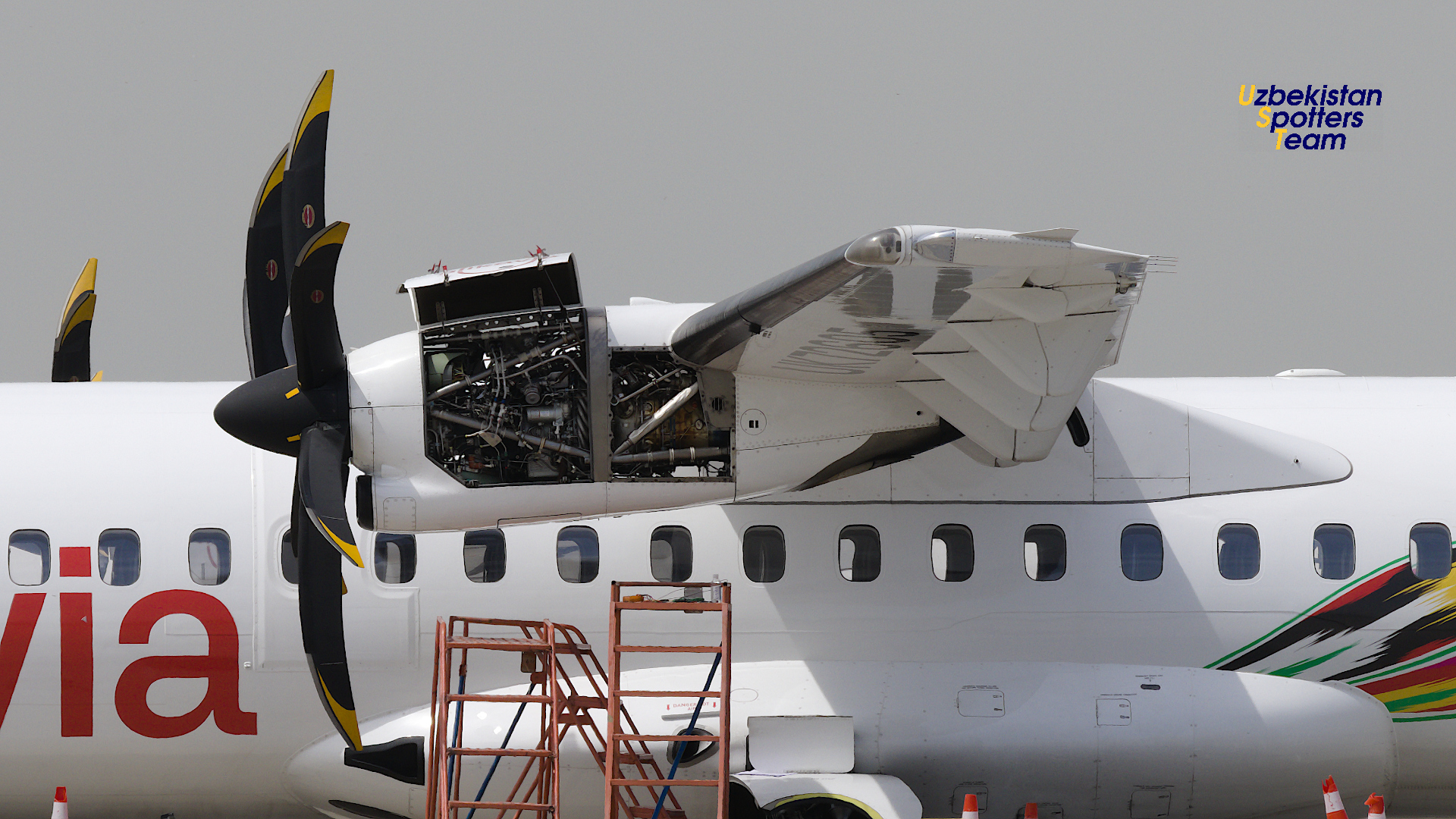 Toshkent aeroportida bahorgi spotting