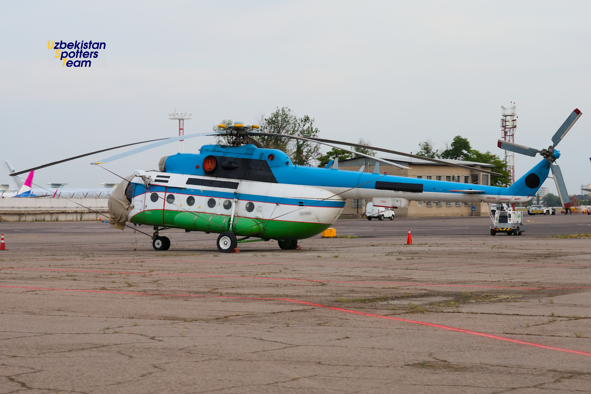 Toshkent aeroportida bahorgi spotting
