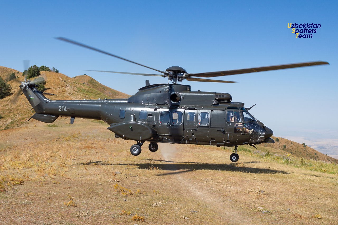 Поздравляем причастных с вашим праздником - Днём защитников Родины!🪖🇺🇿